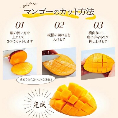 宮崎産 あま~い完熟大玉マンゴー!3Lサイズ 1玉 ギフトにも!