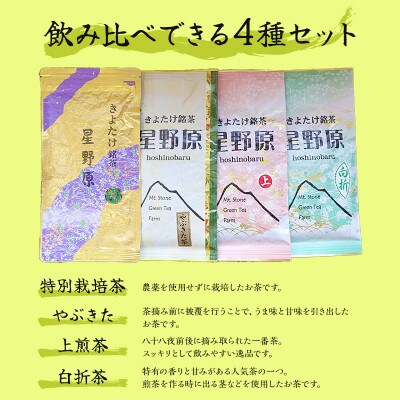 宮崎市清武町産　緑茶4点セット　計380g