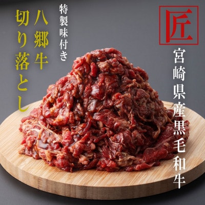 宮崎県産　特製たれ八郷牛切り落し　500g×2