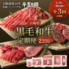 【2ヵ月毎定期便】宮崎県産牛【創業40年 平家の郷】全3回