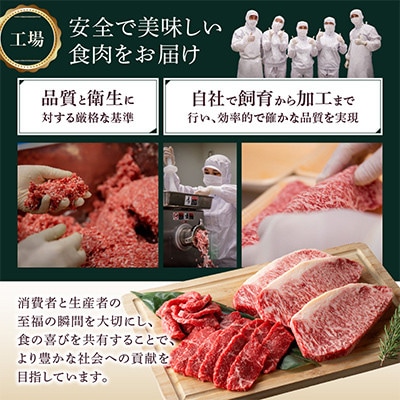 【2ヵ月毎定期便】宮崎県創業40年平家の郷 宮崎県黒毛和牛(合計2.23kg)全3回