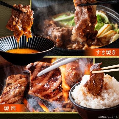 【2ヵ月毎定期便】宮崎県創業40年平家の郷宮崎黒毛和牛(合計2.51kg)全3回