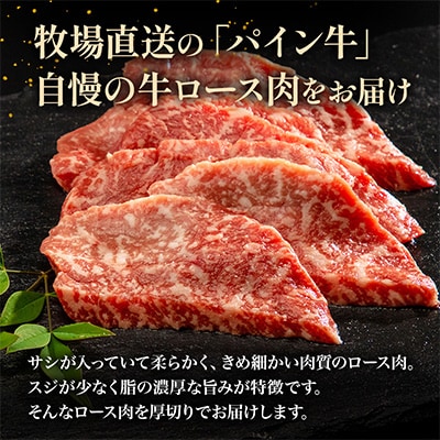 宮崎県産黒毛和牛　パイン牛ロース焼肉用500g
