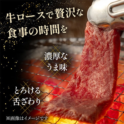宮崎県産黒毛和牛　パイン牛ロース焼肉用500g