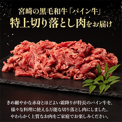 宮崎県産黒毛和牛　パイン牛肩・肩ロース切り落とし肉1kg(500g×2)