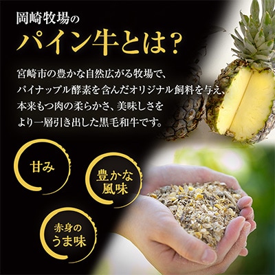 宮崎県産黒毛和牛　パイン牛肩・肩ロース切り落とし肉1kg(500g×2)