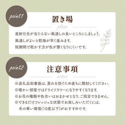 おまかせ  Christmasスワッグ M