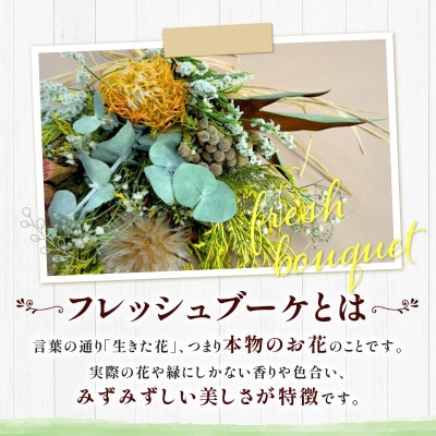 【季節のおまかせ】デイリーユース スワッグ　L