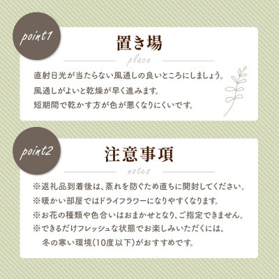 【季節のおまかせ】デイリーユース スワッグ　M