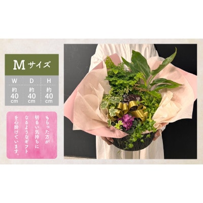 【先行受付・母の日ギフト】なが～く楽しめる!「観葉植物インテリア」 カゴ盛り Mサイズ