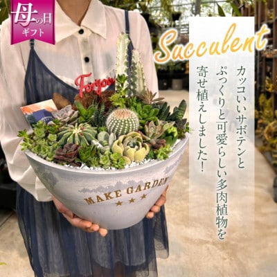 【先行受付・母の日ギフト】サボテンと多肉植物  寄せ植え  BIGサイズ