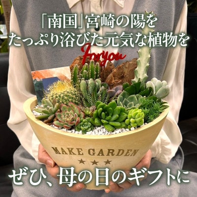 【先行受付・母の日ギフト】サボテンと多肉植物  寄せ植え  BIGサイズ
