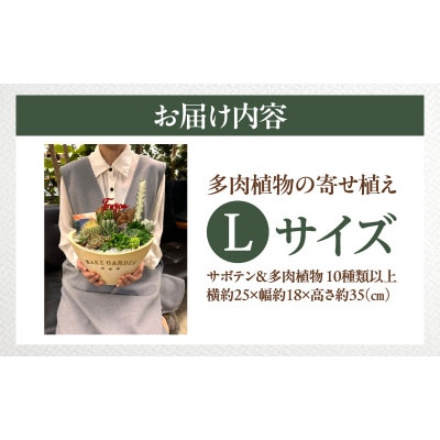 【先行受付・母の日ギフト】サボテンと多肉植物 寄せ植え Lサイズ