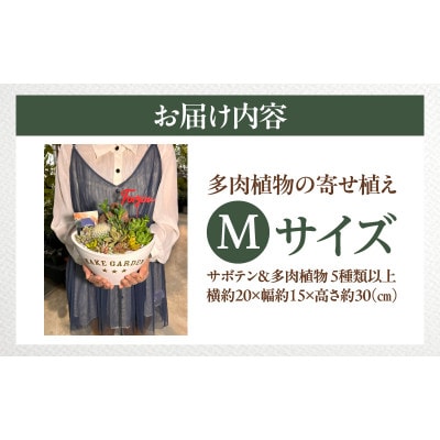 【先行受付・母の日ギフト】サボテンと多肉植物 寄せ植え Mサイズ