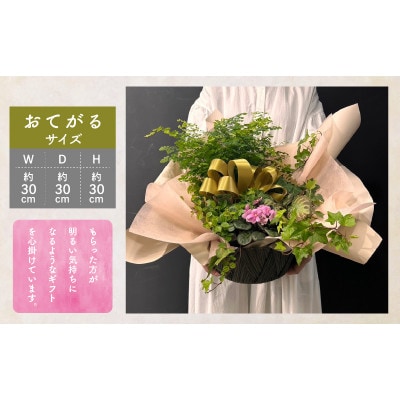 【おすすめギフト】なが～く楽しめる!「観葉植物インテリア」 カゴ盛り おてがるサイズ