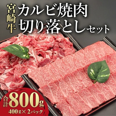 宮崎牛 贅沢2種セット 合計800g カルビ 焼肉 バーベキュー 400g ・ 切り落とし 400g