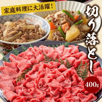 宮崎牛 贅沢2種セット 合計800g カルビ 焼肉 バーベキュー 400g ・ 切り落とし 400g