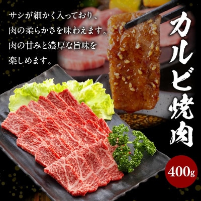 宮崎牛 贅沢2種セット 合計800g カルビ 焼肉 バーベキュー 400g モモスライス 400g