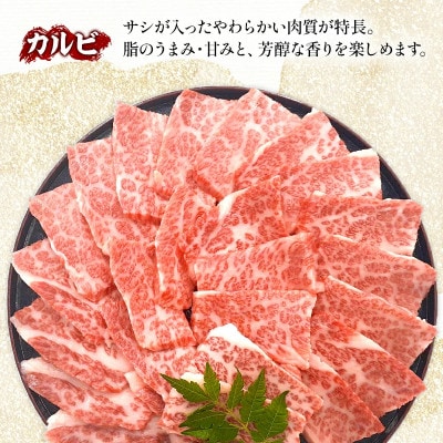 【2025年8月下旬発送】宮崎牛 A4～A5 黒毛和牛 カルビ 焼肉・バーベキュー用 500g