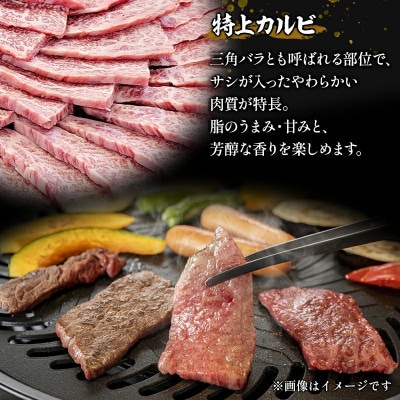 内閣総理大臣賞4連覇* 宮崎牛 特上 カルビ 焼肉 三角バラ  600g [150g×4パック]