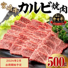 [2024年2月より順次発送]宮崎牛 A4〜A5 カルビ 焼肉・バーベキュー用 500g(宮崎市)