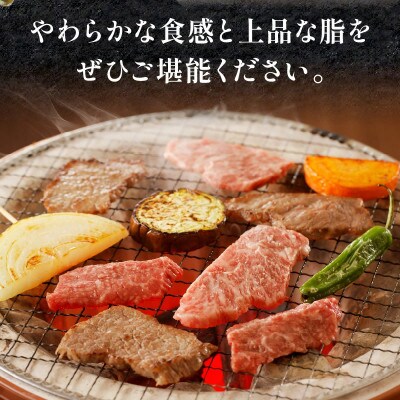 【2025年4月より順次発送】宮崎牛 黒毛 和牛 カルビ 焼肉 バーベキュー 500g (宮崎市)