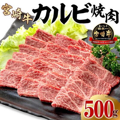【2024年5月より順次発送】宮崎牛 黒毛 和牛 カルビ 焼肉 バーベキュー 500g (宮崎市)