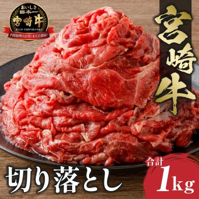 史上初内閣総理大臣賞4連覇*宮崎牛 切り落とし 合計1kg (500g×2パック)(宮崎市)