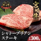 内閣総理大臣賞4連覇 宮崎牛 A4～A5 牛肉 超希少部位 シャトーブリアン ステーキ 300g