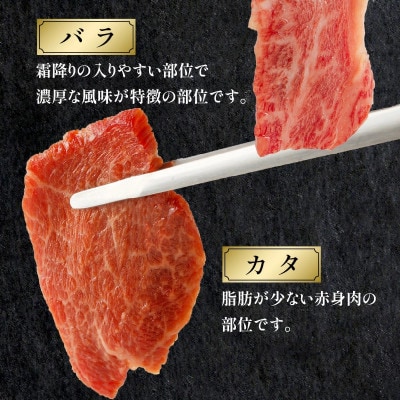 内閣総理大臣賞4連覇 宮崎牛 焼肉食べ比べ3種盛[ロース/バラ/カタ] 300g(宮崎市)