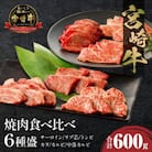 内閣総理大臣賞4連覇 宮崎牛 A4～A5 黒毛和牛 牛肉 焼肉 食べ比べ 6種盛り 600g
