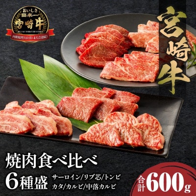内閣総理大臣賞4連覇 宮崎牛 焼肉食べ比べ6種盛[サーロイン・カルビなど] 600g(宮崎市)