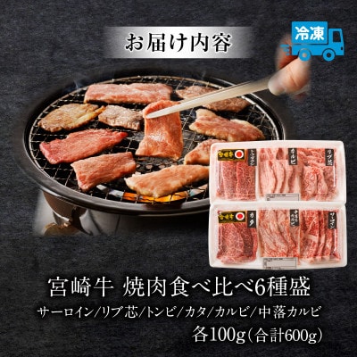 内閣総理大臣賞4連覇 宮崎牛 焼肉食べ比べ6種盛[サーロイン・カルビなど] 600g(宮崎市)
