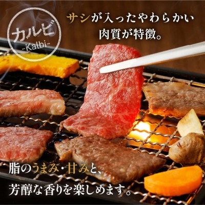 内閣総理大臣賞4連覇 宮崎牛 定番人気カルビ・ロース焼肉セット 合計400g(宮崎市)