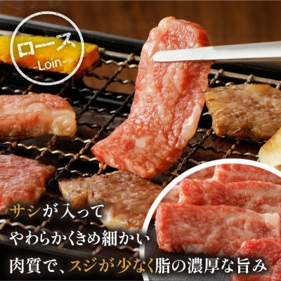 内閣総理大臣賞4連覇 宮崎牛 定番人気カルビ・ロース焼肉セット 合計400g(宮崎市)