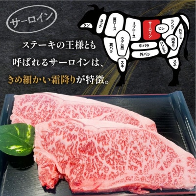 内閣総理大臣賞4連覇* 宮崎牛 A4～A5 黒毛和牛 サーロインステーキ用 800g(4枚入り)