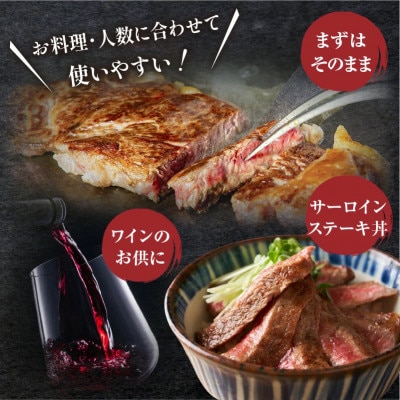 内閣総理大臣賞4連覇* 宮崎牛 A4～A5 黒毛和牛 サーロインステーキ用 800g(4枚入り)