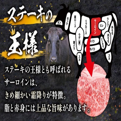 史上初内閣総理大臣賞4連覇* 宮崎牛 A4～A5 黒毛和牛 サーロインステーキ 200g(宮崎市)