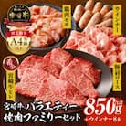 内閣総理大臣4連覇 宮崎牛 牛肉 牛ヒレがメイン バラエティー 4種ファミリー 焼肉セット 850g