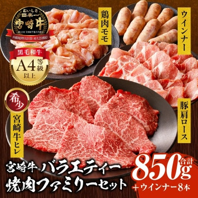 宮崎牛 ヒレがメイン 牛豚鶏が入ったバラエティー4種 ファミリー 焼肉セット 合計850g(宮崎市)