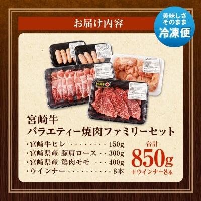 宮崎牛 ヒレがメイン 牛豚鶏が入ったバラエティー4種 ファミリー 焼肉セット 合計850g(宮崎市)