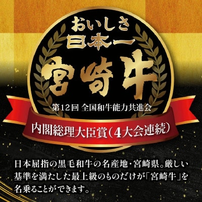 宮崎牛ヒレがメイン 牛豚鶏が入ったバラエティー4種 パーティー 焼肉セット 合計1.7kg(宮崎市)
