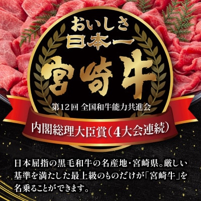 史上初内閣総理大臣賞4連覇*宮崎牛 切り落とし 合計2kg (500g×4パック)(宮崎市)