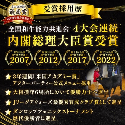 史上初内閣総理大臣賞4連覇*宮崎牛 切り落とし 合計2kg (500g×4パック)(宮崎市)