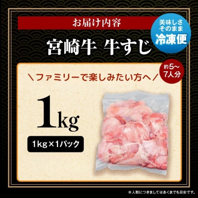 史上初内閣総理大臣賞4連覇 宮崎牛 A4～A5 黒毛和牛 牛すじ肉 1kg (宮崎市)