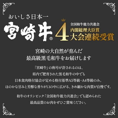 【2025年4月より順次発送】宮崎牛 黒毛和牛 切り落とし 合計1kg(500g×2パック) 宮崎市