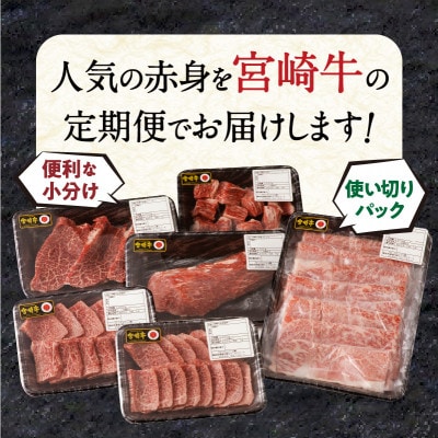【発送月固定定期便】内閣総理大臣賞4連覇 宮崎牛赤身定期便 ステーキ 焼肉 スライス ブロック全4回