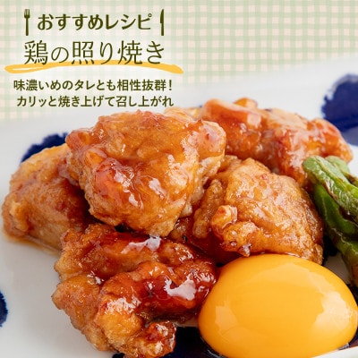 宮崎県産 若鶏もも切身肉 計3kg