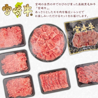 宮崎牛わくわく2.1kgセット