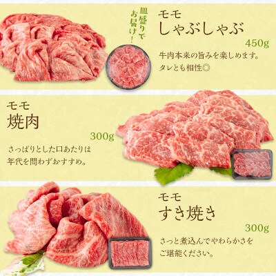 宮崎牛わくわく2.1kgセット